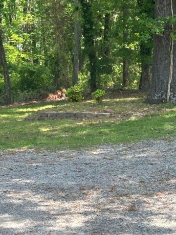 Serene Retreat! 420 Friendly In Designated Area, 3 Minutes To Downtown Richmond Eksteriør billede